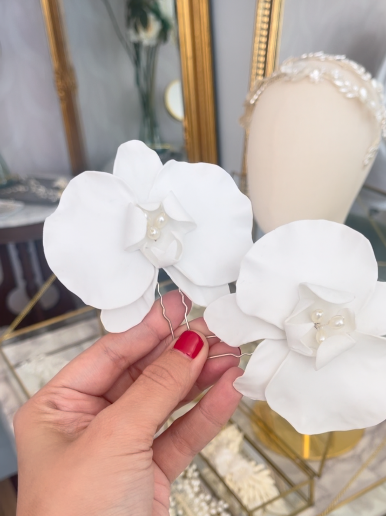 Orquídeas FR21
