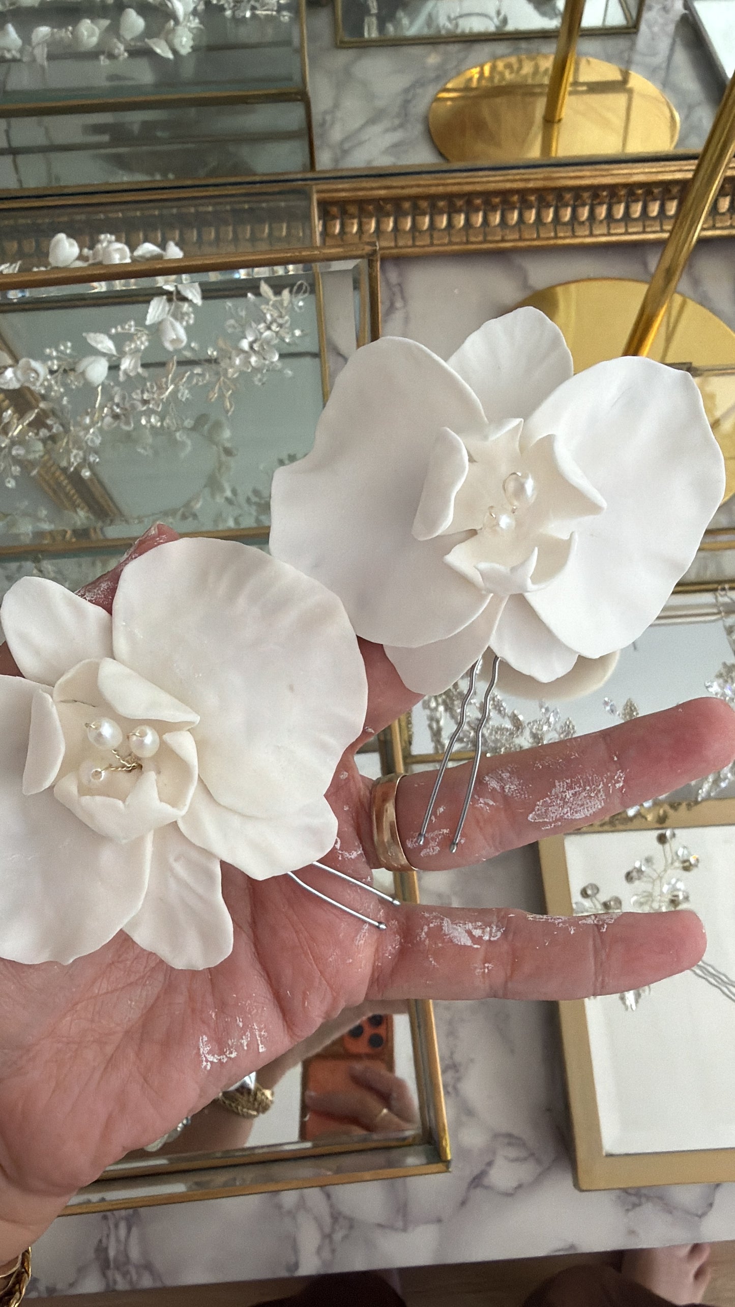 Orquídeas mediana y pequeña